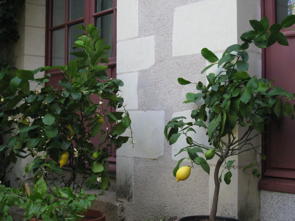 Le Logis Des Tourelles Bed & Breakfast Beaupreau Exterior photo